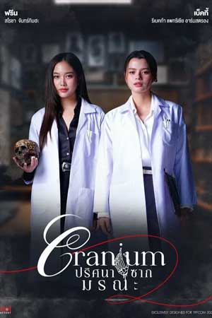 Cranium The Series